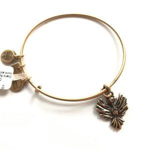 alex and ani phoenix